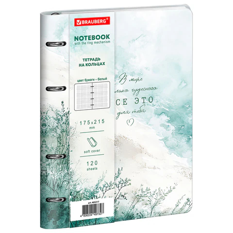 ������� �� ������� BRAUBERG VISTA, ″��������″