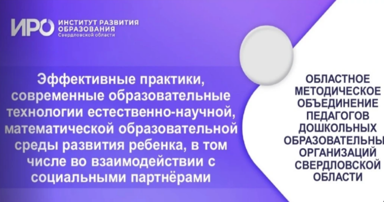 Эффективные практики педагогов Свердловской области в организации познавательно-исследовательской деятельности Эффективные практики педагогов Свердловской области в организации познавательно-исследовательской деятельности