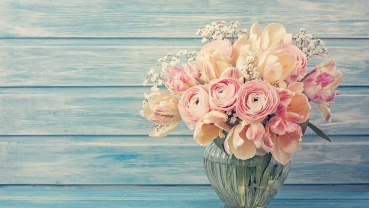Феникс+ поздравляет с Днем Рождения Ольгу Никулину! Феникс+ поздравляет с Днем Рождения Ольгу Никулину!