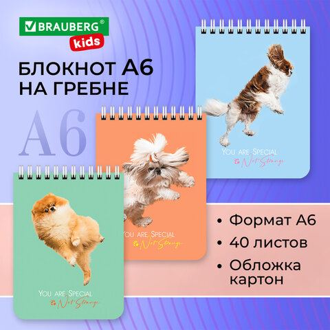 ������� BRAUBERG KIDS, ″�������″