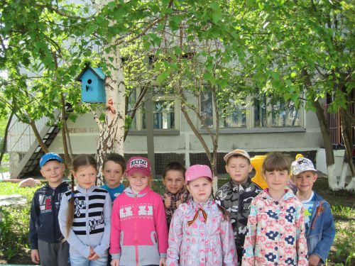 Скворцы прилетели Скворцы прилетели
