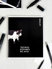 Тетрадь предметная арт. 69823/ ИСТОРИЯ /48 л., А5+, вн.блок - клетка, выборочный ТВИН УФ-лак,