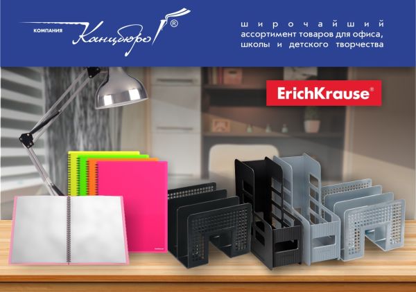 Новинки продукции для хранения документов Erich Krause Новинки продукции для хранения документов Erich Krause