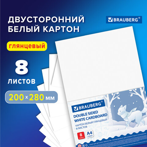 ������ ����� EXTRA BRAUBERG, 8 ������