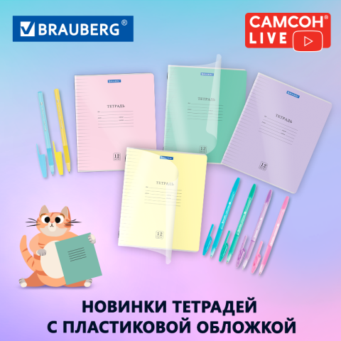 САМСОН LIVE: канцелярия к школьному сезону от BRAUBERG САМСОН LIVE: канцелярия к школьному сезону от BRAUBERG