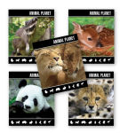 Новая серия про животных «Animal World». Новая серия про животных «Animal World».