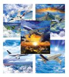 «Dream Sky» от ООО «ТетраПром» «Dream Sky» от ООО «ТетраПром»