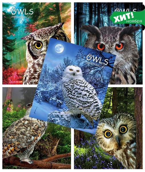 Хит ноября 2017г, серия дизайна ″Owl life″ Хит ноября 2017г, серия дизайна ″Owl life″