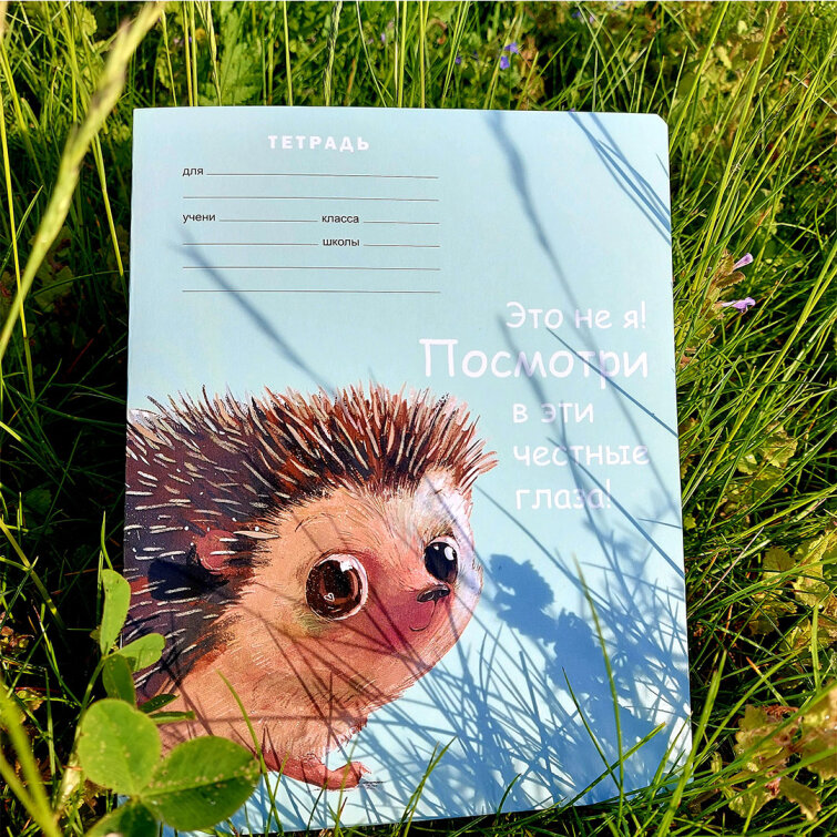 Школьные тетради BG ″Милый ежик″: мы их любим с детства. Школьные тетради BG ″Милый ежик″: мы их любим с детства.