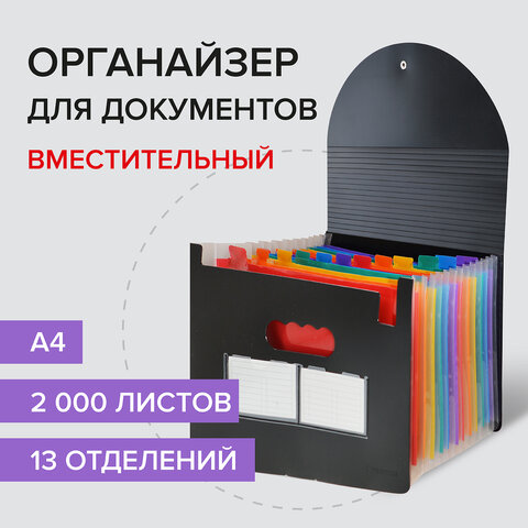 Папка-органайзер BRAUBERG DOCS Папка-органайзер BRAUBERG DOCS