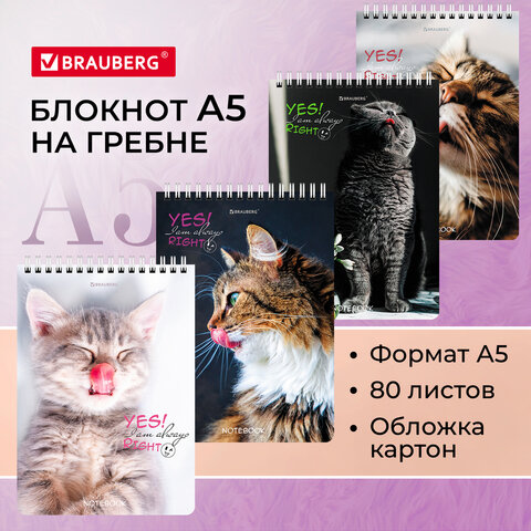 Блокнот BRAUBERG, ″Довольные коты″ Блокнот BRAUBERG, ″Довольные коты″
