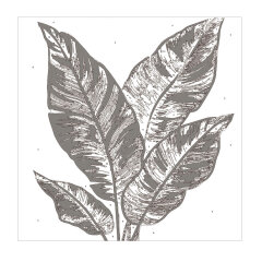 ����� ��� ���������� ������� �� ������� � �������, ������+, ������� ������, 30x30 ��, 15 ����� (-��), � ���������� �������� � �������, ������: ������, ��������� �������