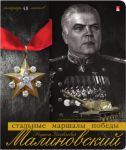 Герои тактики и стратегии в тетрадях Альт