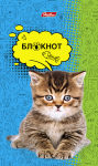 Удобные блокноты от Hatber Удобные блокноты от Hatber