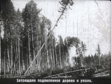 ″История тетрадки″ - учебный диафильм, 1953 г. ″История тетрадки″ - учебный диафильм, 1953 г.