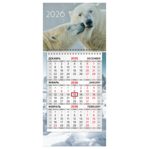 ��������� ����������� 2026 �., ���� BRAUBERG, ″�������″