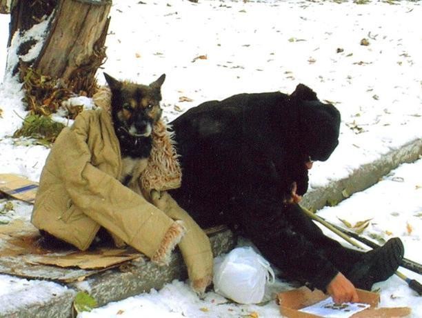 28 ноября. Всемирный день сострадания. 28 ноября. Всемирный день сострадания.