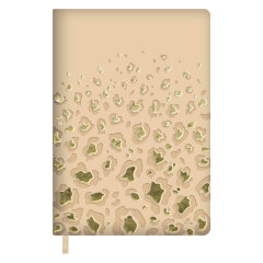   ESCALADA,  5, 120 .,  ,  ,   ″-″,  3D-