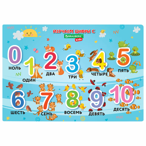 ���������� �������� BRAUBERG KIDS, ″Numbers″
