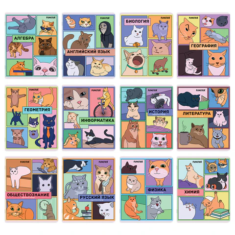 ������� ���������� FUNSTER, ″������ ����″