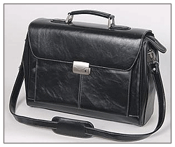 ������������ ������� - �������� PROFESSIONAL 819.10