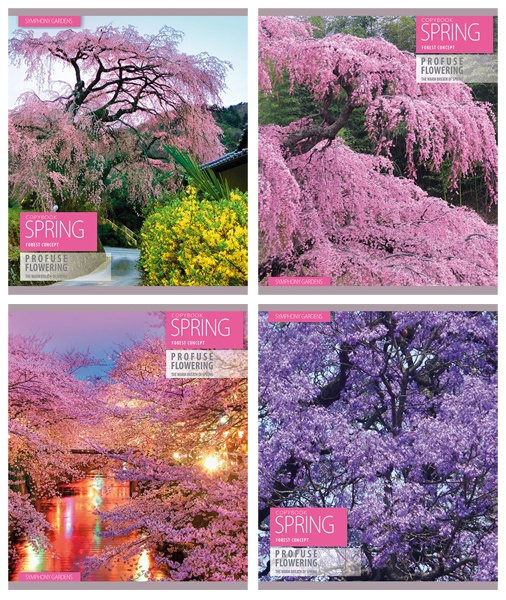 �������� ��� &laquo;���������&raquo; ���������� ������������� � �������� ������� &laquo;Spring flowering&raquo;
