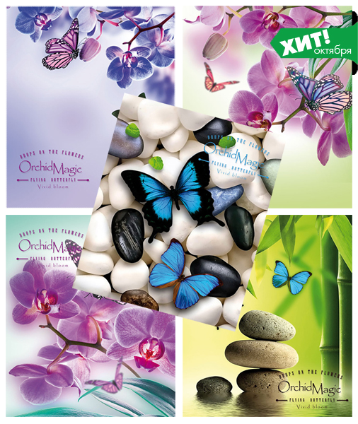 ��� ������� 2017�, ����� ������� ″Orchid magic″