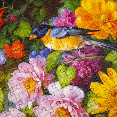 ��������� ��������� �� Hatber.