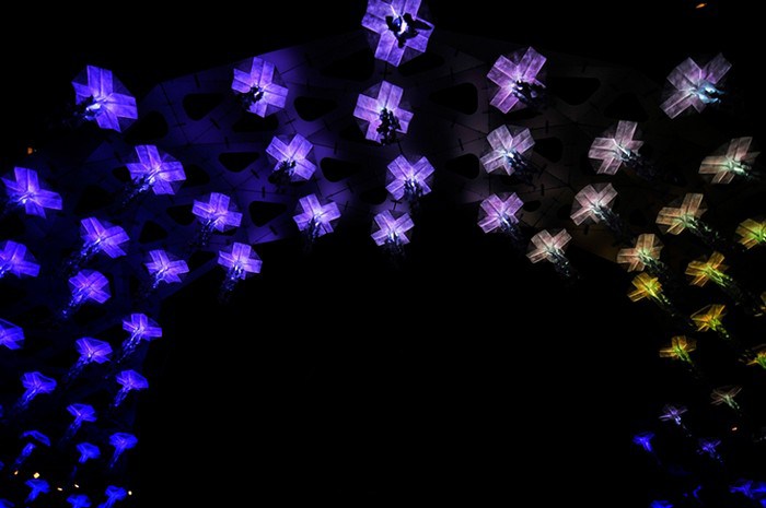 Умные оригами-медузы Jelly Swarm Умные оригами-медузы Jelly Swarm