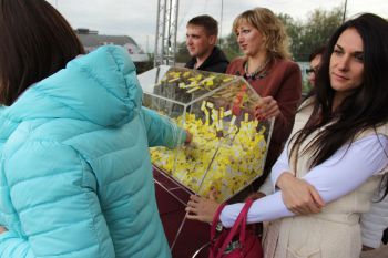 14-ый розыгрыш от ОПТимиста Курск 2016 14-ый розыгрыш от ОПТимиста Курск 2016