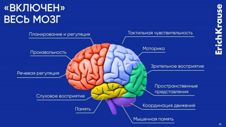 Пластичное развитие: компания ErichKrause приняла участие во II Международной научно-практической конференции «Нейронауки – компетенции XXI века. Междисциплинарный подход» Пластичное развитие: компания ErichKrause приняла участие во II Международной научно-практической конференции «Нейронауки – компетенции XXI века. Междисциплинарный подход»