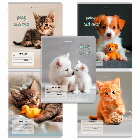 Тетрадь 12 листов BRAUBERG CATS AND DOGS, косая линия Тетрадь 12 листов BRAUBERG CATS AND DOGS, косая линия