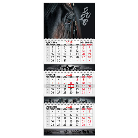 ��������� ����������� 2026 �., BRAUBERG EXTRA