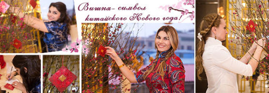 Новости от Dragon Gifts: нашей компании исполнилось 15 лет! Новости от Dragon Gifts: нашей компании исполнилось 15 лет!