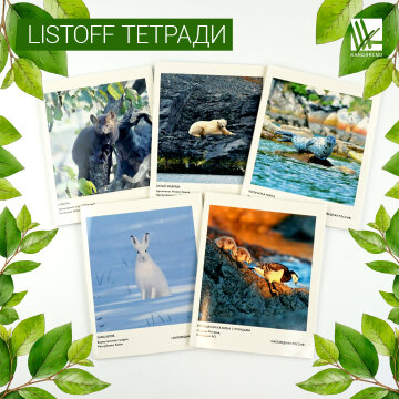 ������� Listoff ���������� ������