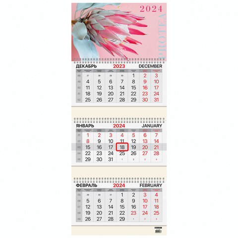 ��������� ����������� BRAUBERG, ″Protea″