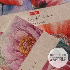 ������� � ������������ ������ �� 2 ������� � ����� �� Hatber: ��������� ������!