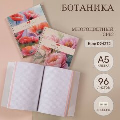 ������� � ������������ ������ �� 2 ������� � ����� �� Hatber: ��������� ������!