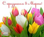 С Международным женским днем 8 Марта!