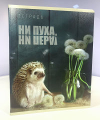 Тайная жизнь ежей Тайная жизнь ежей