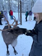 Говорят, мечтать не вредно - вредно не мечтать! Говорят, мечтать не вредно - вредно не мечтать!