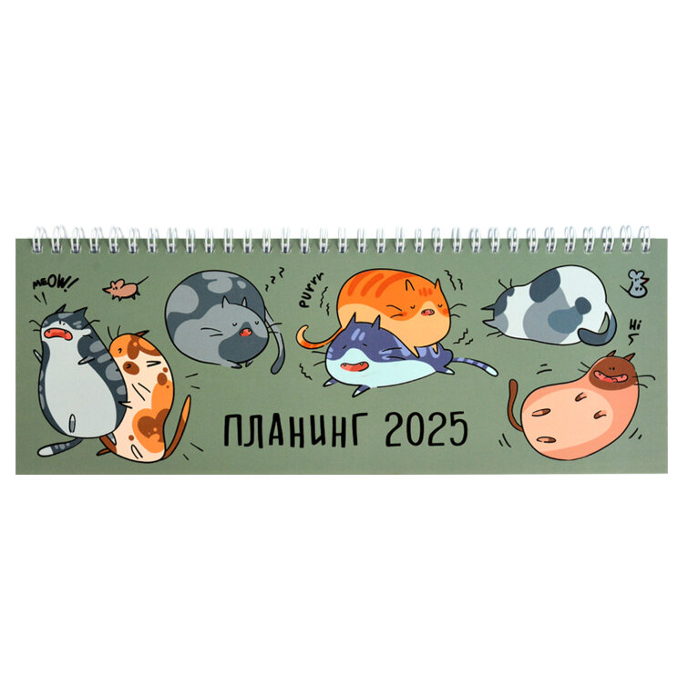 Планинг датированный 2025, 290х100 мм, 64 л, ФЕНИКС+ Планинг датированный 2025, 290х100 мм, 64 л, ФЕНИКС+