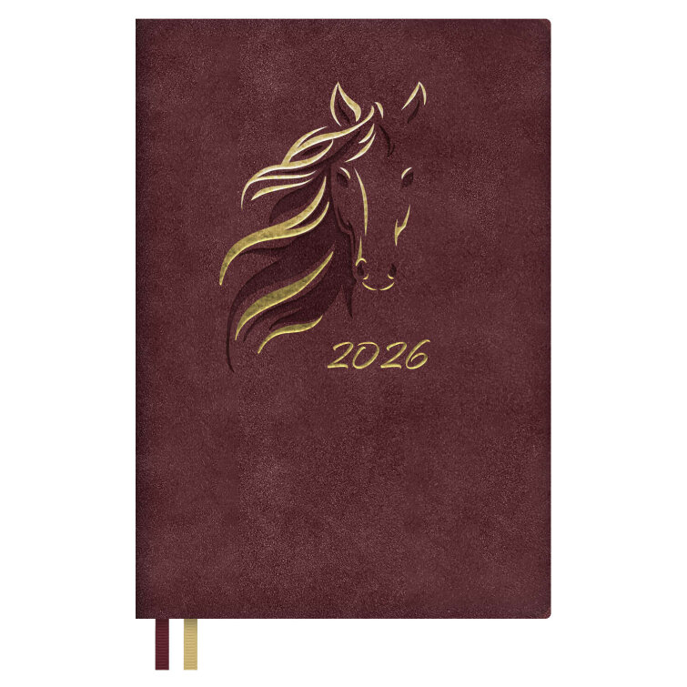   2026 ESCALADA,  5, 176 .,  ,  ,   ″″,  ,  