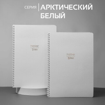 ������� &laquo;����������� �����&raquo; �4 �� ������ �� Hatber: ������ �����-����