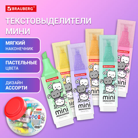 ���������������� ���� BRAUBERG ″PASTEL″
