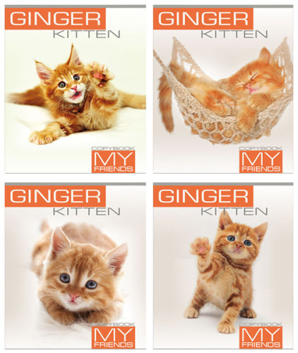 Компания ООО «ТетраПром» предлагает Вашему вниманию НОВУЮ серию дизайнов «Ginger kitten» Компания ООО «ТетраПром» предлагает Вашему вниманию НОВУЮ серию дизайнов «Ginger kitten»
