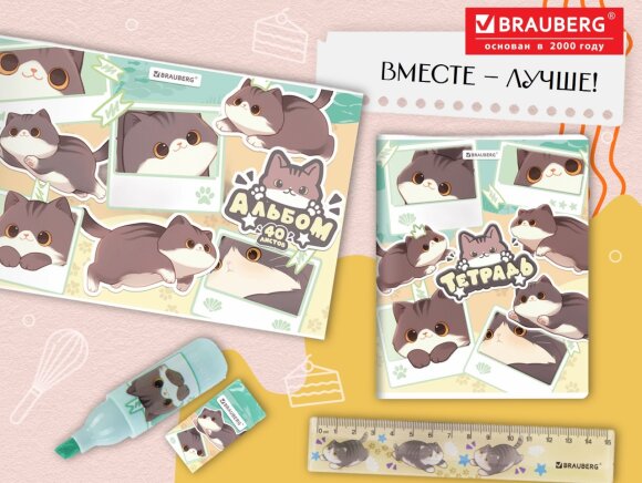 ��������� ������ &laquo;�������&raquo; �� BRAUBERG: ������ ��������� ������ 2026!