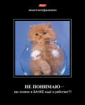 Демотиваторы Hatber