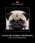Демотиваторы Hatber