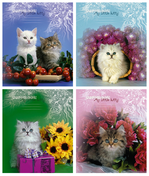 ��� ������� 2018�, ����� ������� ″My little kitty″